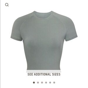 NWT  SKIMS (C3)  New Vintage Cropped 3X Raglan T-Shirt in Blue Chalk